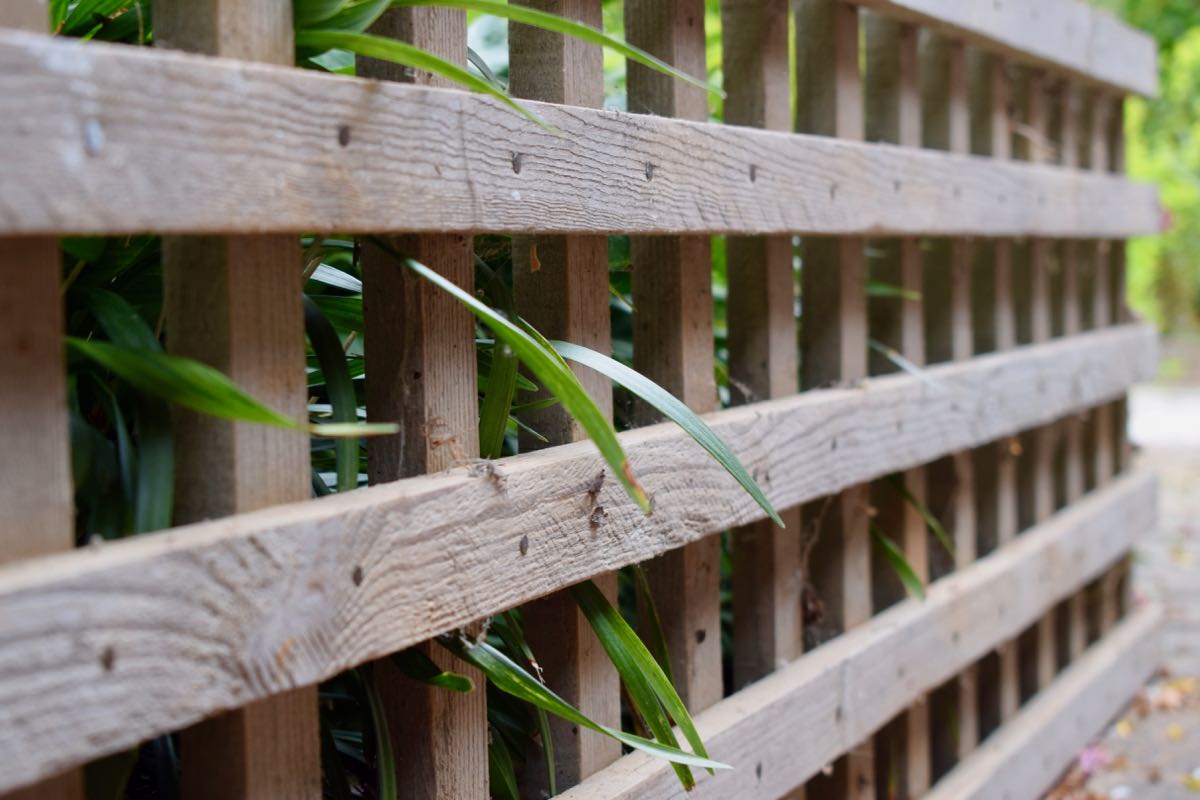 How to make trellis panels Herbidacious