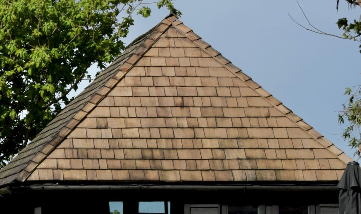 Cedar shingles 2 How to clean and restore them Herbidacious