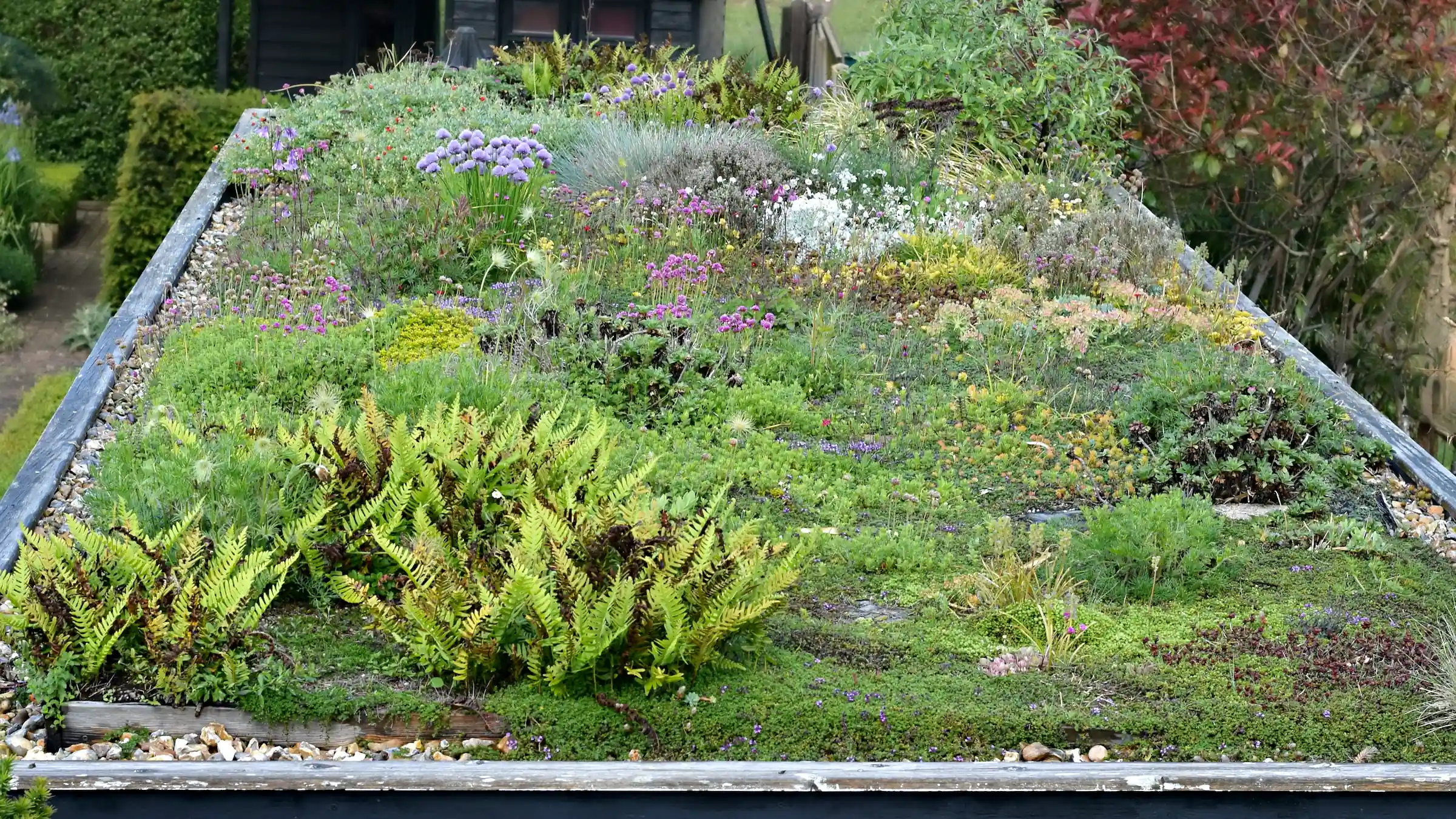 The Green Roof: lessons from the Last Seven years – Herbidacious