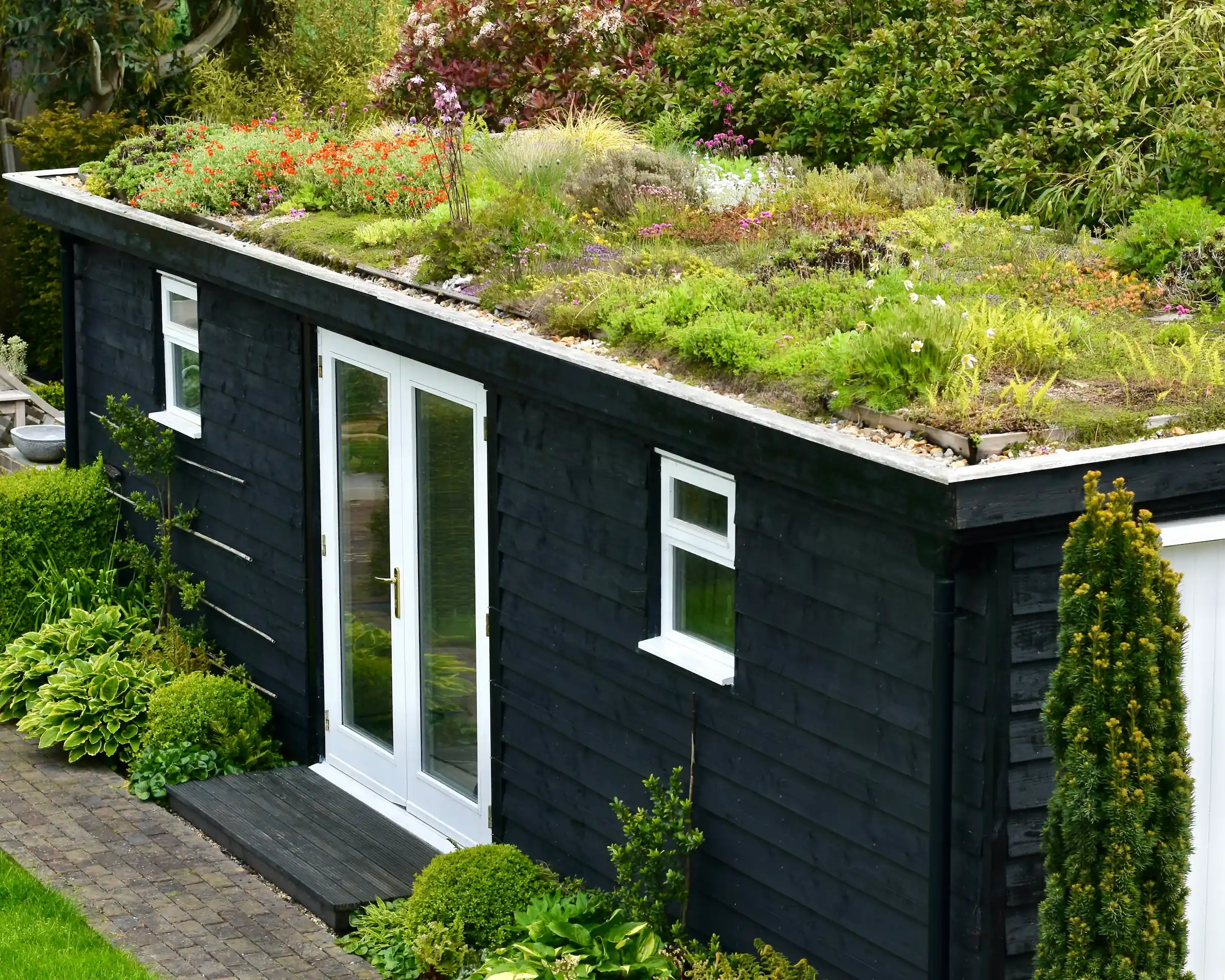 The Green Roof: lessons from the Last Seven years – Herbidacious