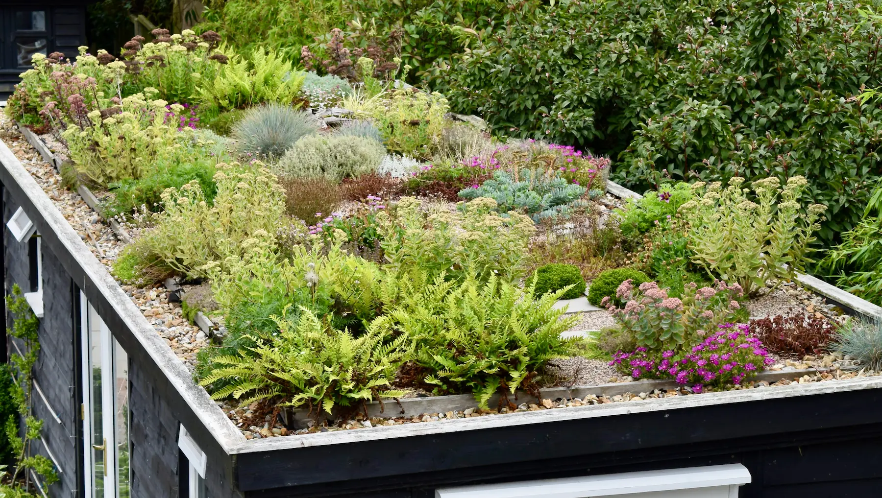 The Green Roof lessons from the Last Seven years Herbidacious