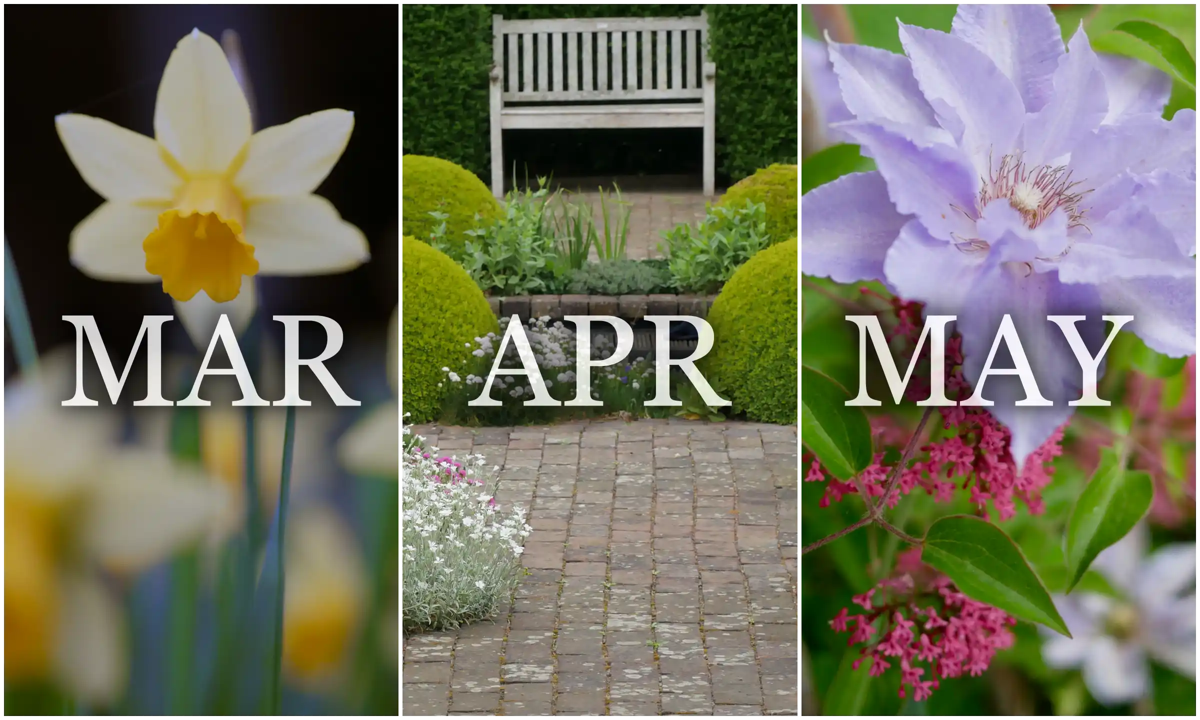 Garden Diary — Spring 2025 Herbidacious